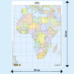 Africa scolastica muta BS04M Belletti