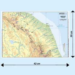 Marche scolastica banco BS18P Belletti