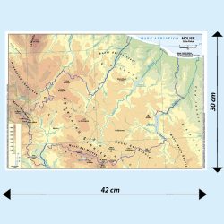 Molise scolastica banco BS19P Belletti