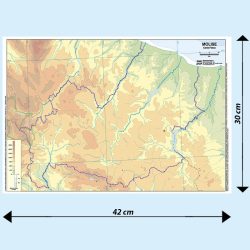 Molise scolastica muta BS19M Belletti