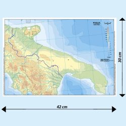 Puglia scolastica muta BS21M Belletti