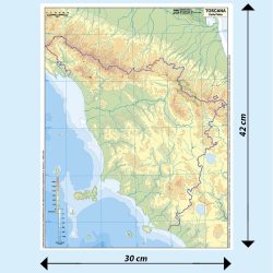 Toscana scolastica muta BS24M Belletti