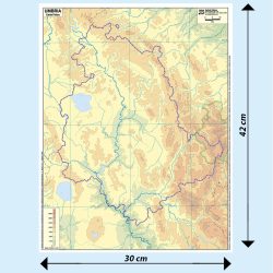 Umbria scolastica muta BS26M Belletti