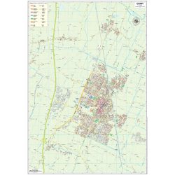 Carpi - Belletti Editore B096