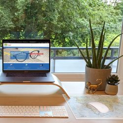 Mouse pad bifacciali